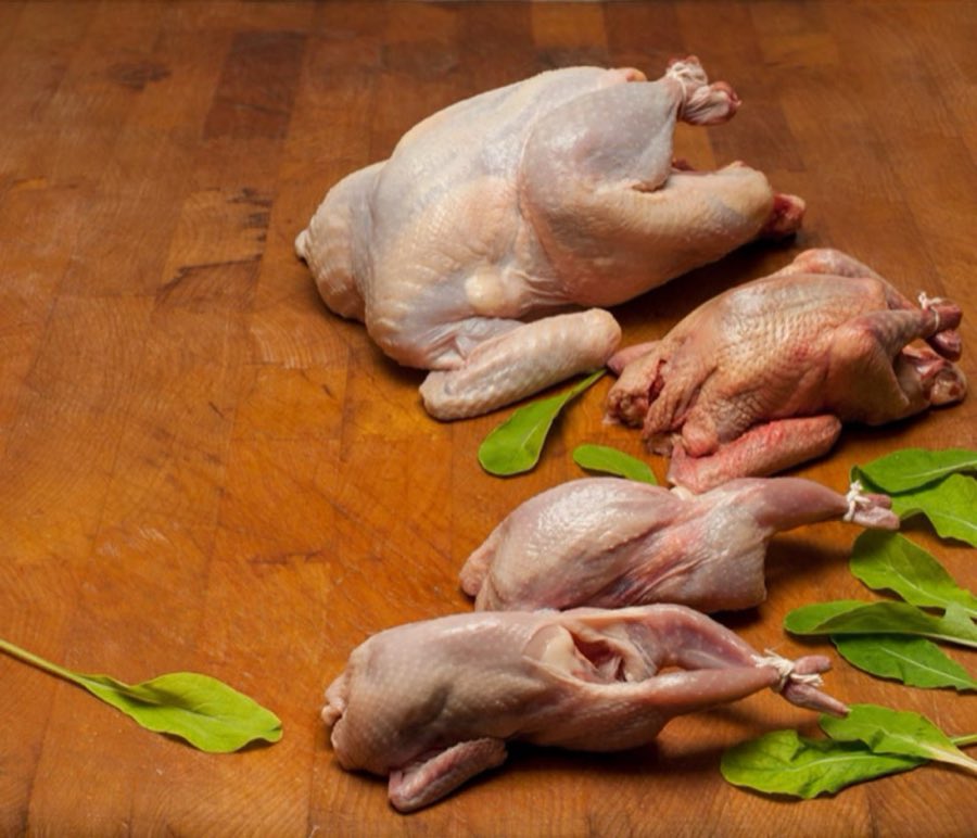 Raw whole game birds, including quail and cornish hen, with arugula leaves on a wooden butcher block