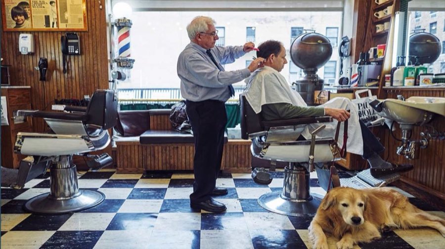 Barber cutting a seated client's hair inside the shop, with a black-and-white checkerboard floor, a barber pole, and the shop's golden retriever resting in the foreground