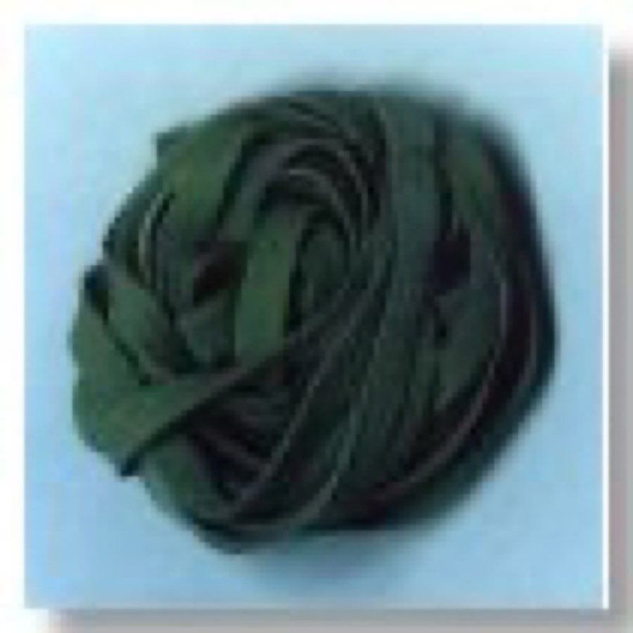 A dark spinach fettuccine nest on a dark background