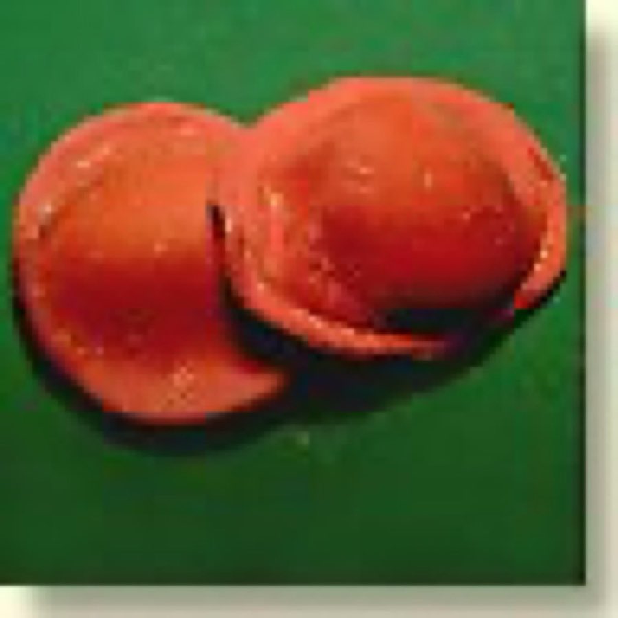 Two scalloped round ravioli on a dark red background