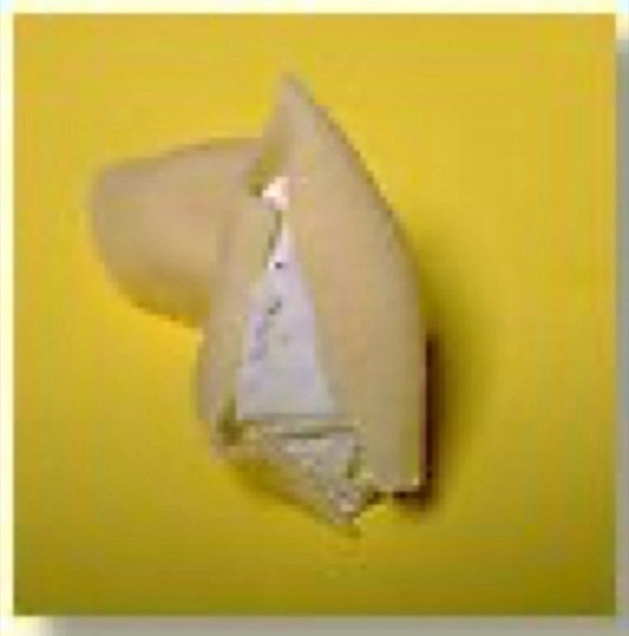 A single large pasta shell on a yellow background